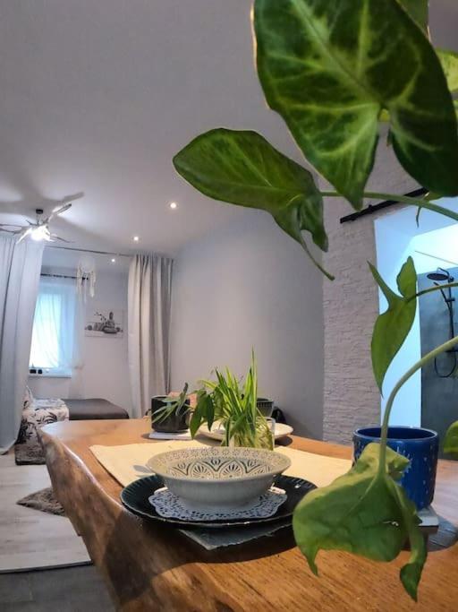 Urocze Studio W Sercu Cieplic Warmbrunn 外观 照片
